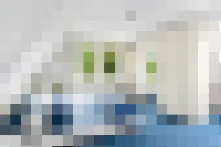 George Emersonstrjitte 25 Wirdum thumbnail 47