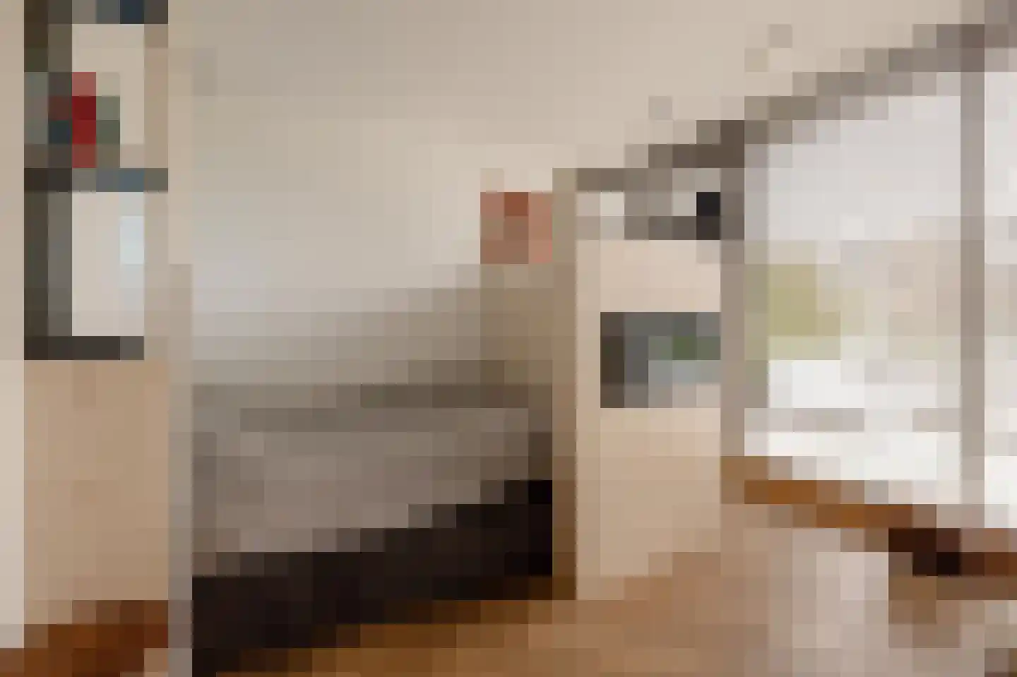 George Gershwinlaan 77 C Amsterdam thumbnail 36
