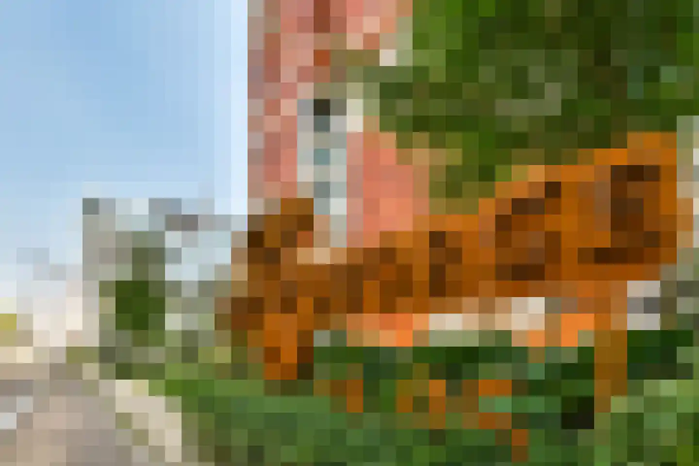 George Gershwinlaan 83 B Amsterdam thumbnail 26