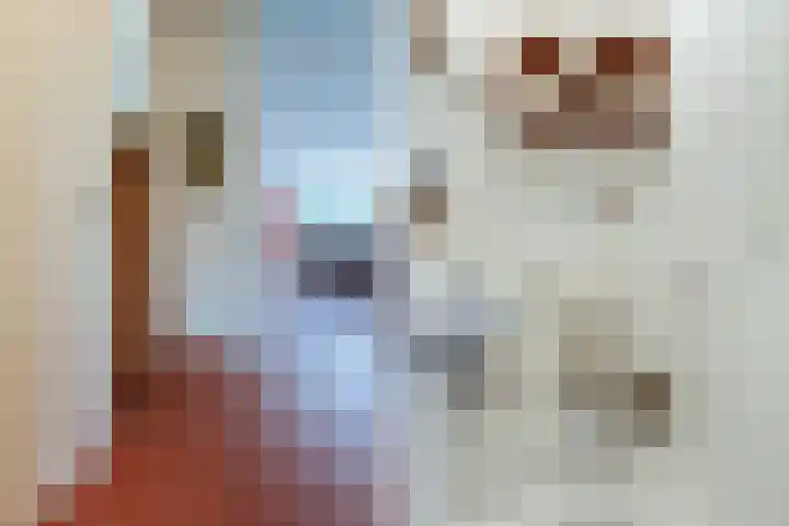 George Gershwinstraat 128 Zaandijk thumbnail 16