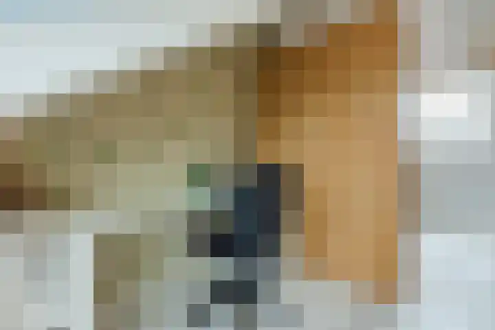 George Gershwinstraat 128 Zaandijk thumbnail 31