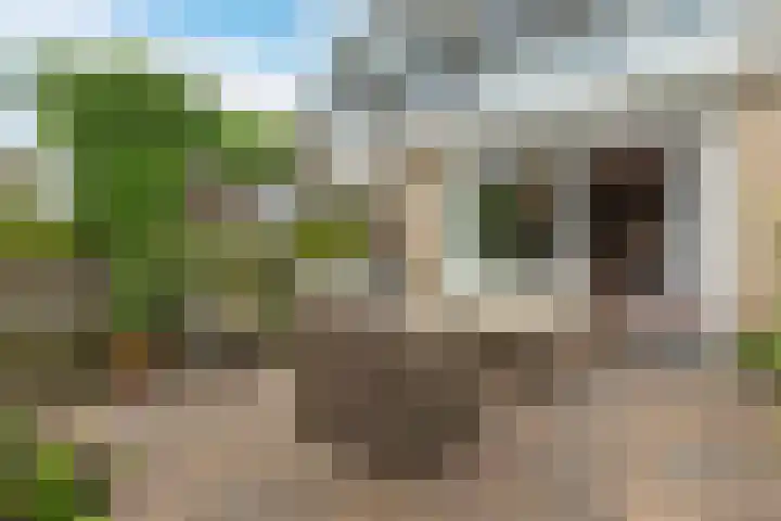 George Gershwinstraat 128 Zaandijk thumbnail 32