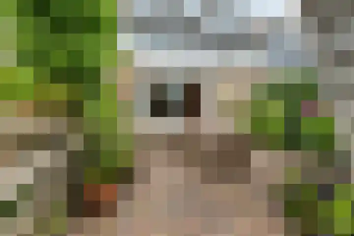 George Gershwinstraat 128 Zaandijk thumbnail 33