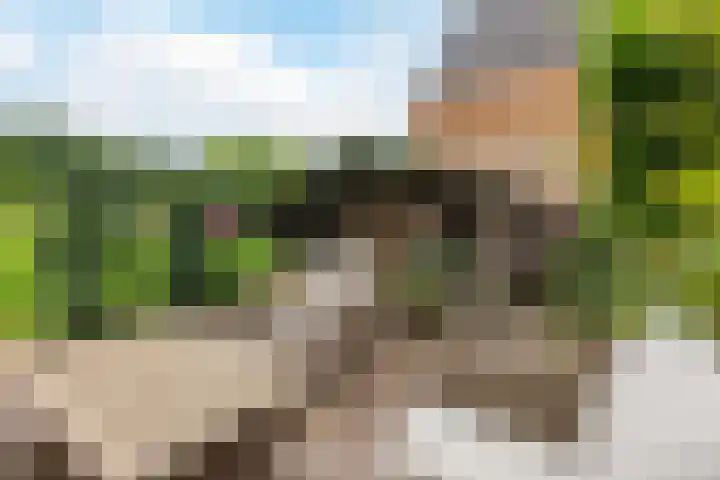 George Gershwinstraat 128 Zaandijk thumbnail 34