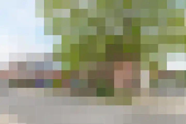 George Gershwinstraat 128 Zaandijk thumbnail 5