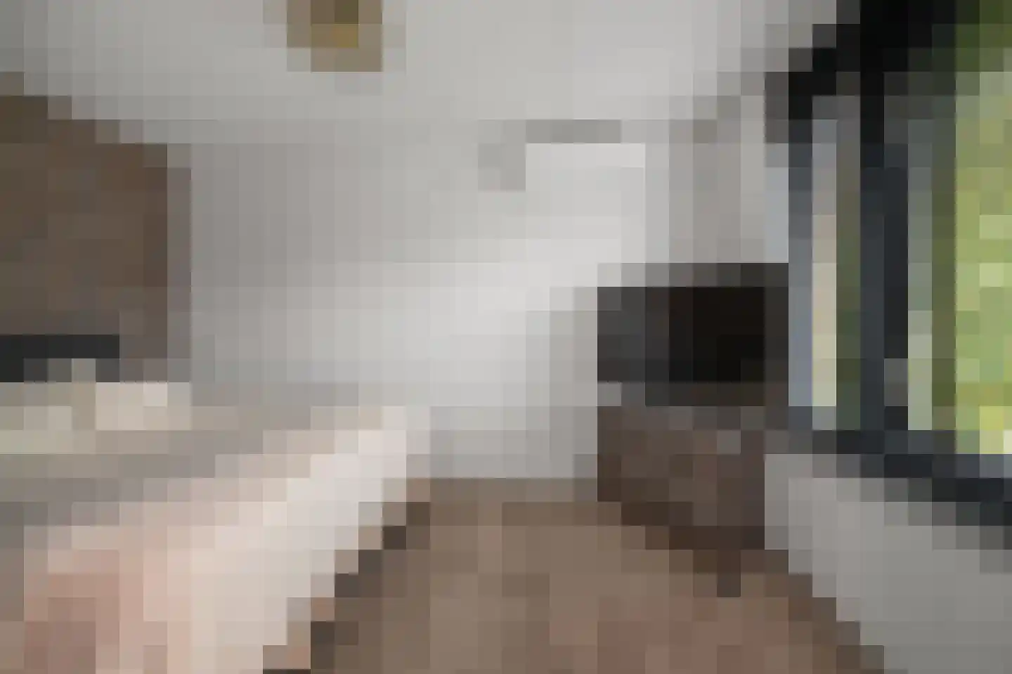 George Gershwinstraat 4 Zaandijk thumbnail 22
