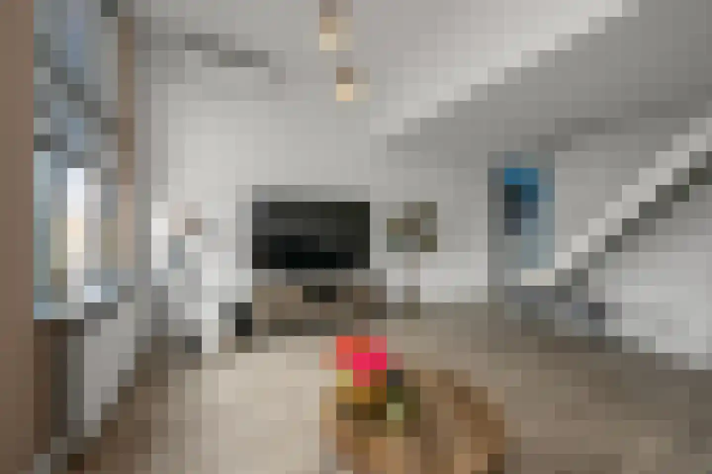 George Gershwinstraat 4 Zaandijk thumbnail 4