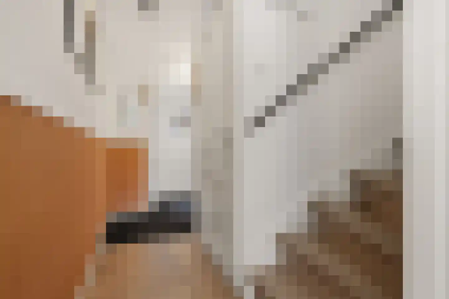 George Gershwinstraat 80 Zaandijk thumbnail 16
