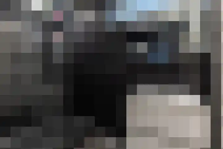 George Gershwinstraat 97 Zaandijk thumbnail 18