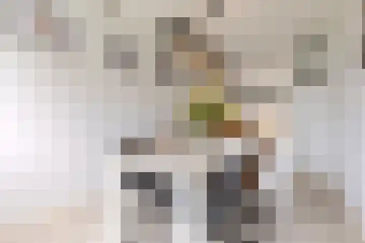 George Gershwinstraat 97 Zaandijk thumbnail 8
