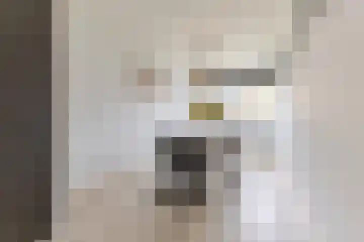 George Gershwinstraat 97 Zaandijk thumbnail 9
