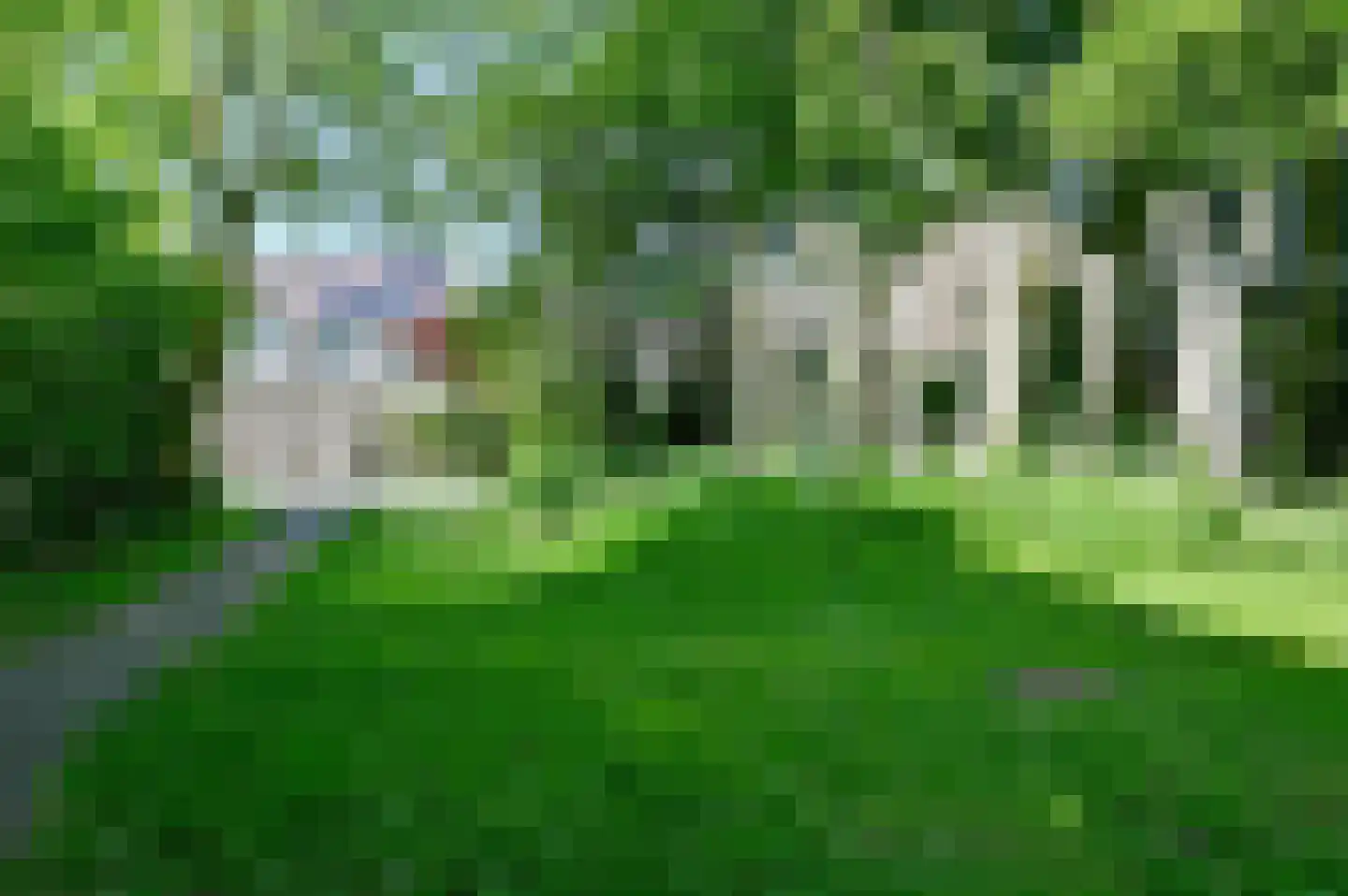 George Hendrik Breitnerlaan 16 Nederhorst den Berg thumbnail 19