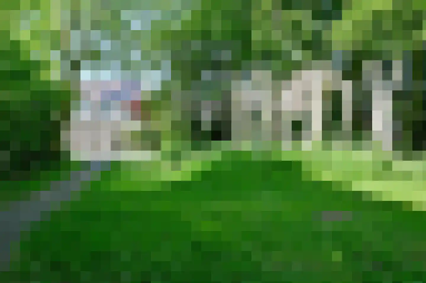 George Hendrik Breitnerlaan 16 Nederhorst den Berg thumbnail 20