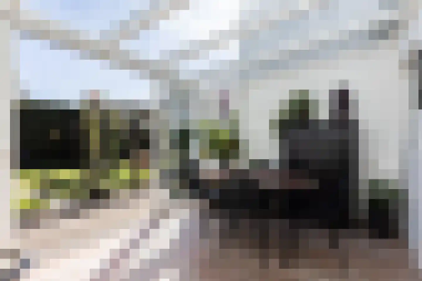 George Marshallstraat 14 Arnhem thumbnail 19