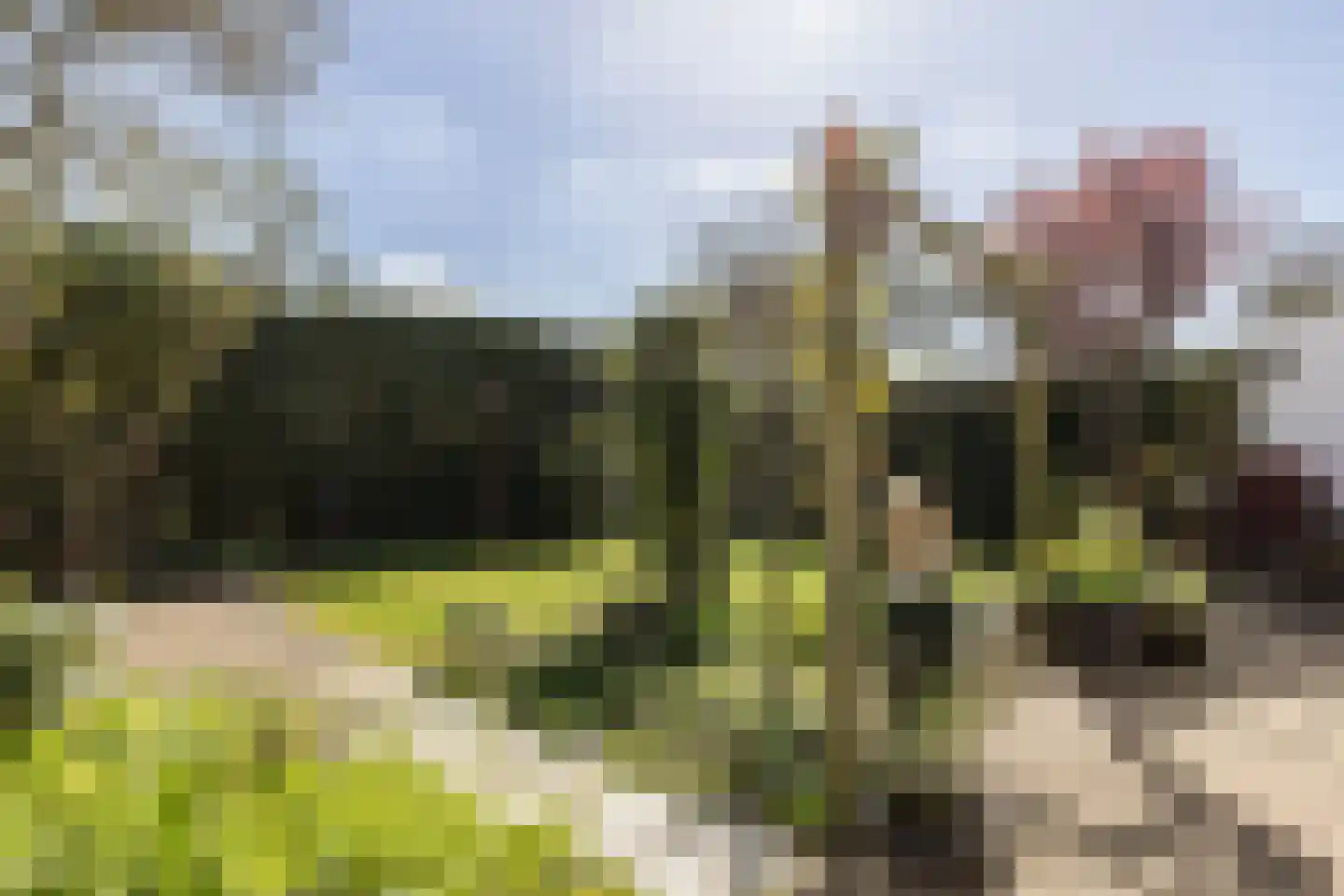 George Marshallstraat 14 Arnhem thumbnail 35