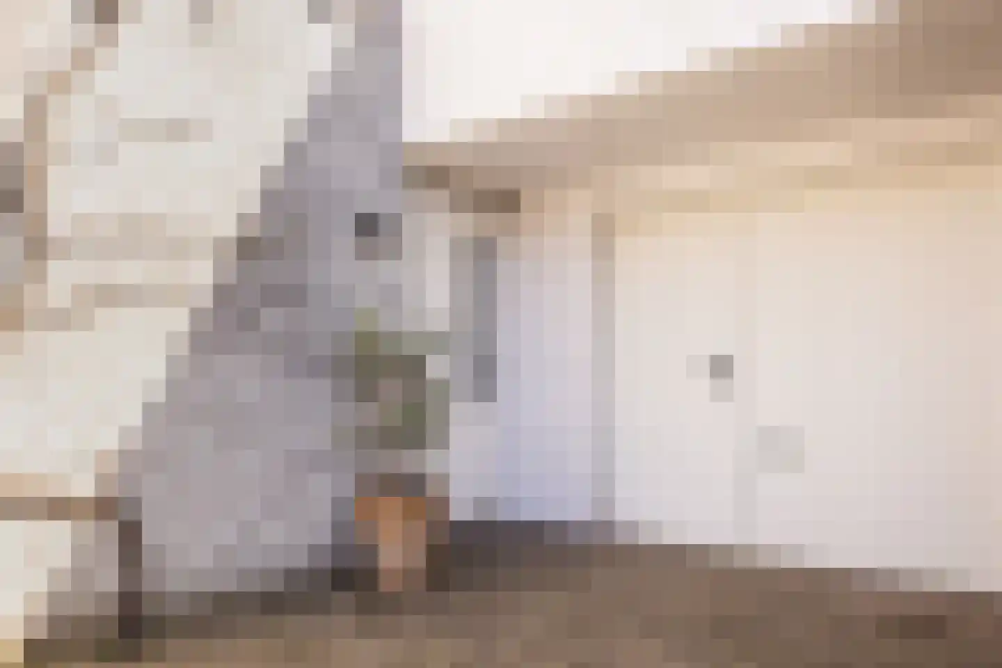 George Marshallstraat 14 Arnhem thumbnail 5