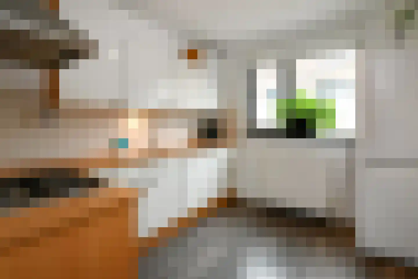 George Orwellhof 16 Arnhem thumbnail 12