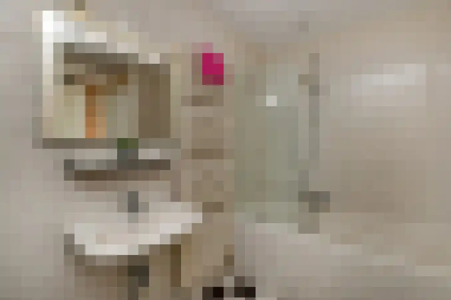 George Orwellhof 16 Arnhem thumbnail 24