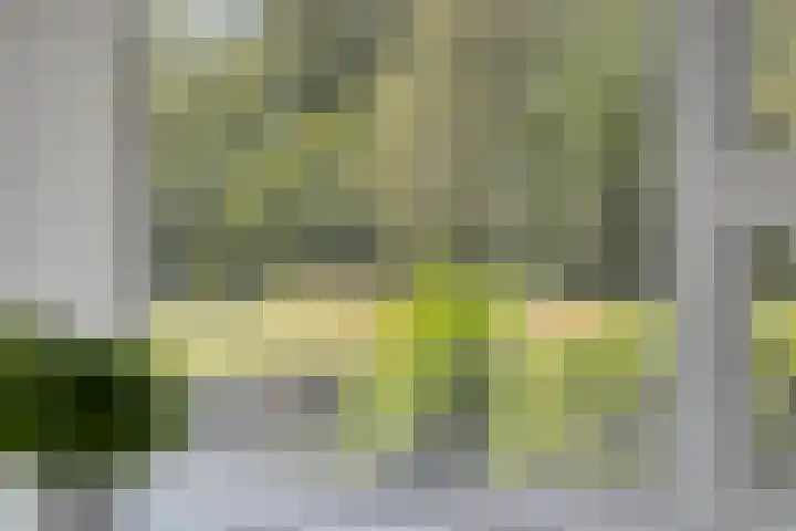 George Orwelllaan 12 Eindhoven thumbnail 24