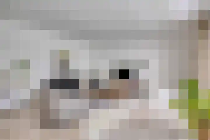 George Orwelllaan 12 Eindhoven thumbnail 30