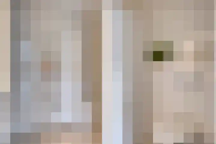 George Orwelllaan 12 Eindhoven thumbnail 34