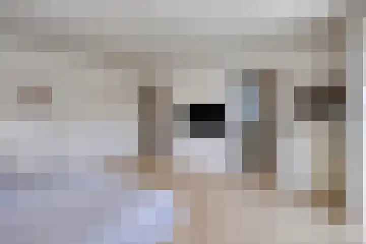 George Orwelllaan 12 Eindhoven thumbnail 36