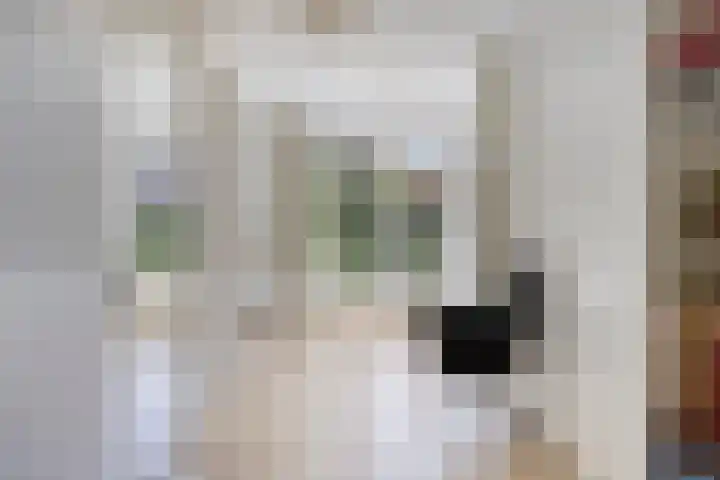 George Orwelllaan 12 Eindhoven thumbnail 37
