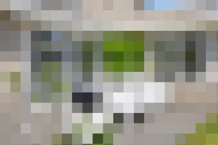 George Orwelllaan 12 Eindhoven thumbnail 46