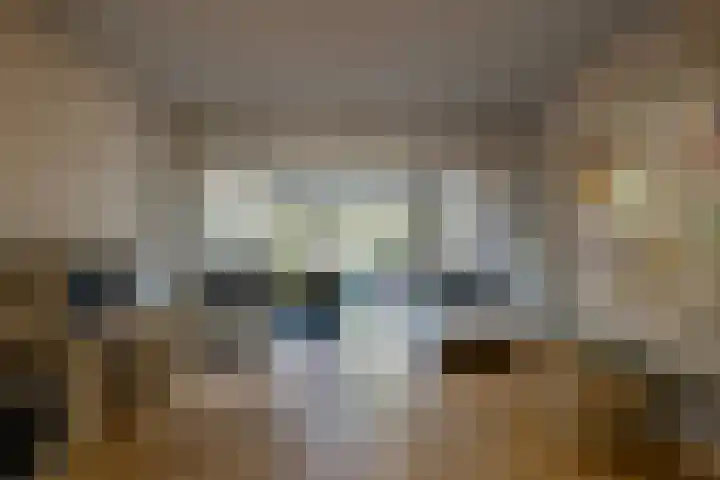 George Perklaan 15 Oisterwijk thumbnail 14