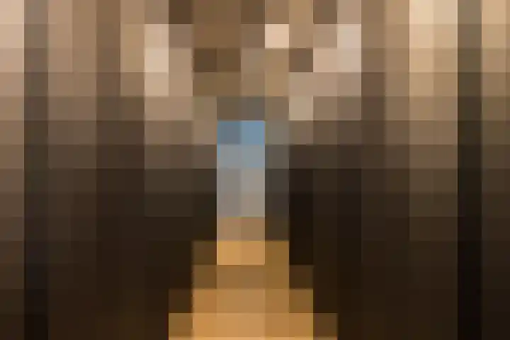 George Perklaan 15 Oisterwijk thumbnail 24
