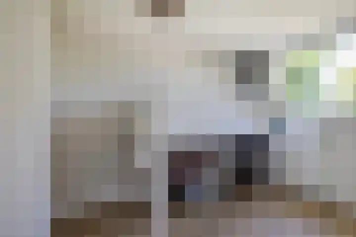 George Perklaan 15 Oisterwijk thumbnail 35