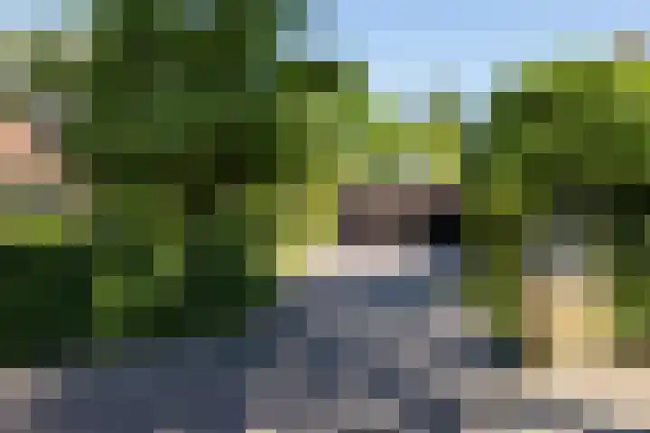 George Perklaan 15 Oisterwijk thumbnail 4