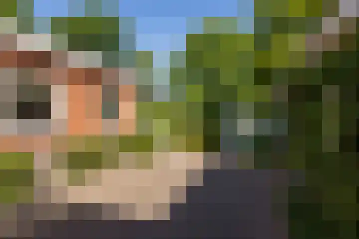 George Perklaan 15 Oisterwijk thumbnail 41