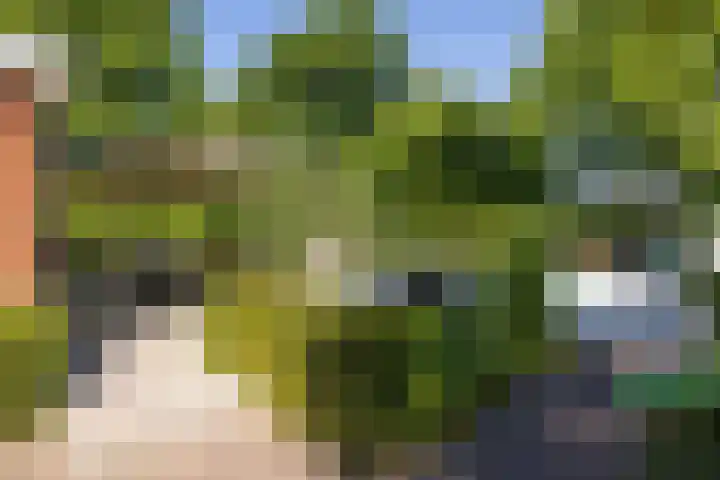 George Perklaan 15 Oisterwijk thumbnail 42