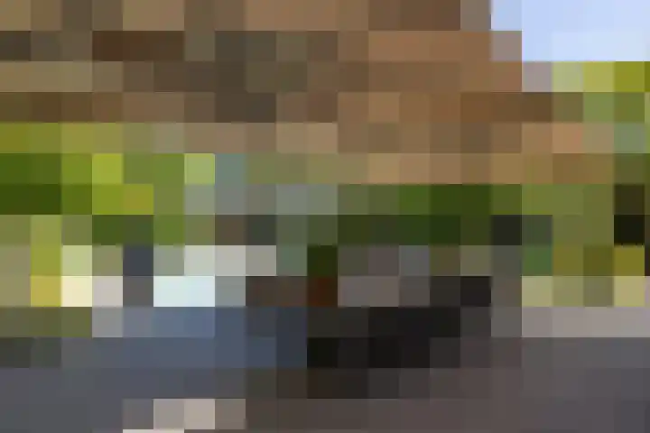 George Perklaan 15 Oisterwijk thumbnail 43