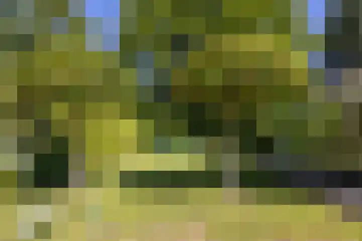 George Perklaan 15 Oisterwijk thumbnail 47