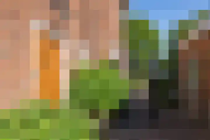 George Perklaan 15 Oisterwijk thumbnail 5