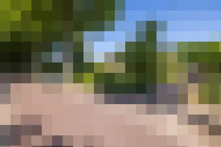 George Perklaan 15 Oisterwijk thumbnail 52