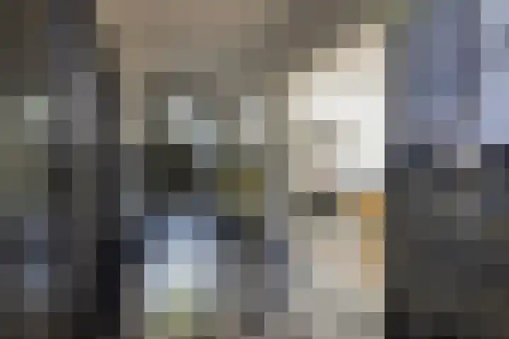 George Perklaan 15 Oisterwijk thumbnail 8