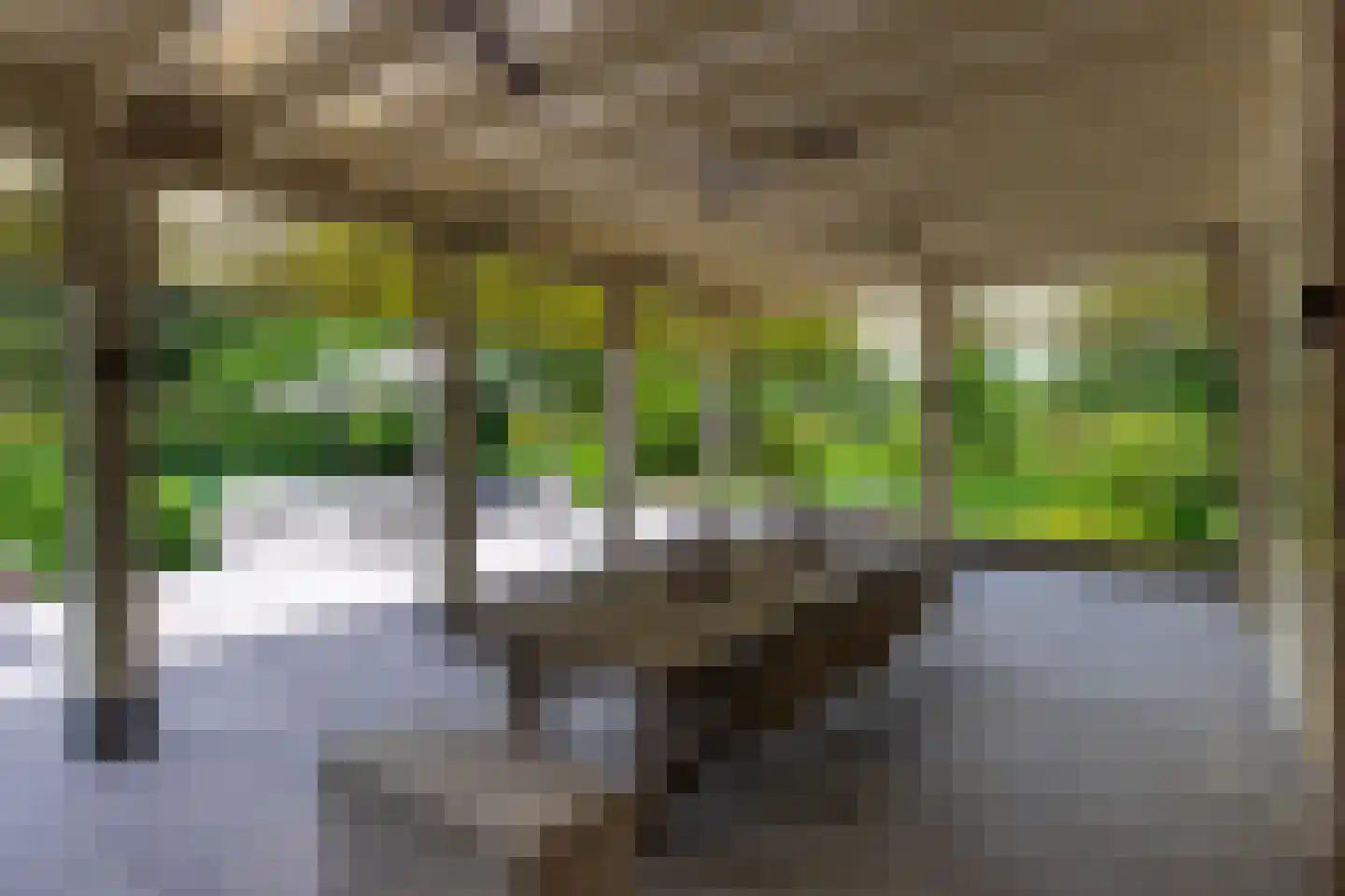 George Perklaan 7 Oisterwijk thumbnail 26