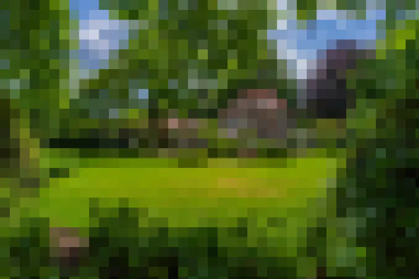 George Perklaan 7 Oisterwijk thumbnail 32