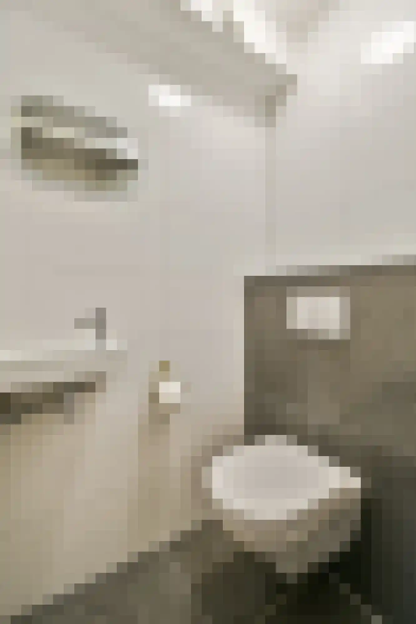 George Sandstraat 6 Amsterdam thumbnail 14