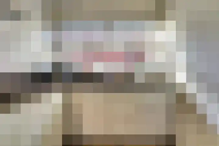 George Sandstraat 9 Spijkenisse thumbnail 13