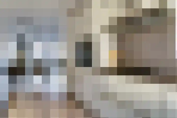 George Sandstraat 9 Spijkenisse thumbnail 14