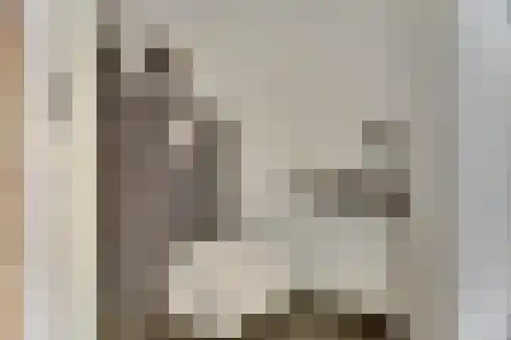 George Sandstraat 9 Spijkenisse thumbnail 16