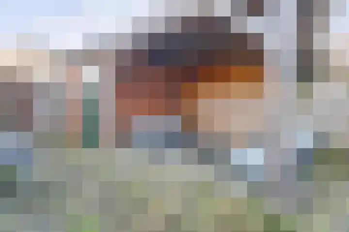 George Sandstraat 9 Spijkenisse thumbnail 34
