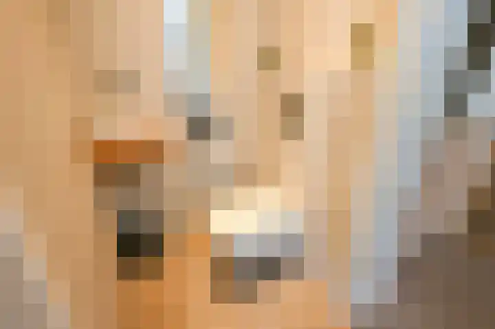 George Seferislaan 14 Den Haag thumbnail 12