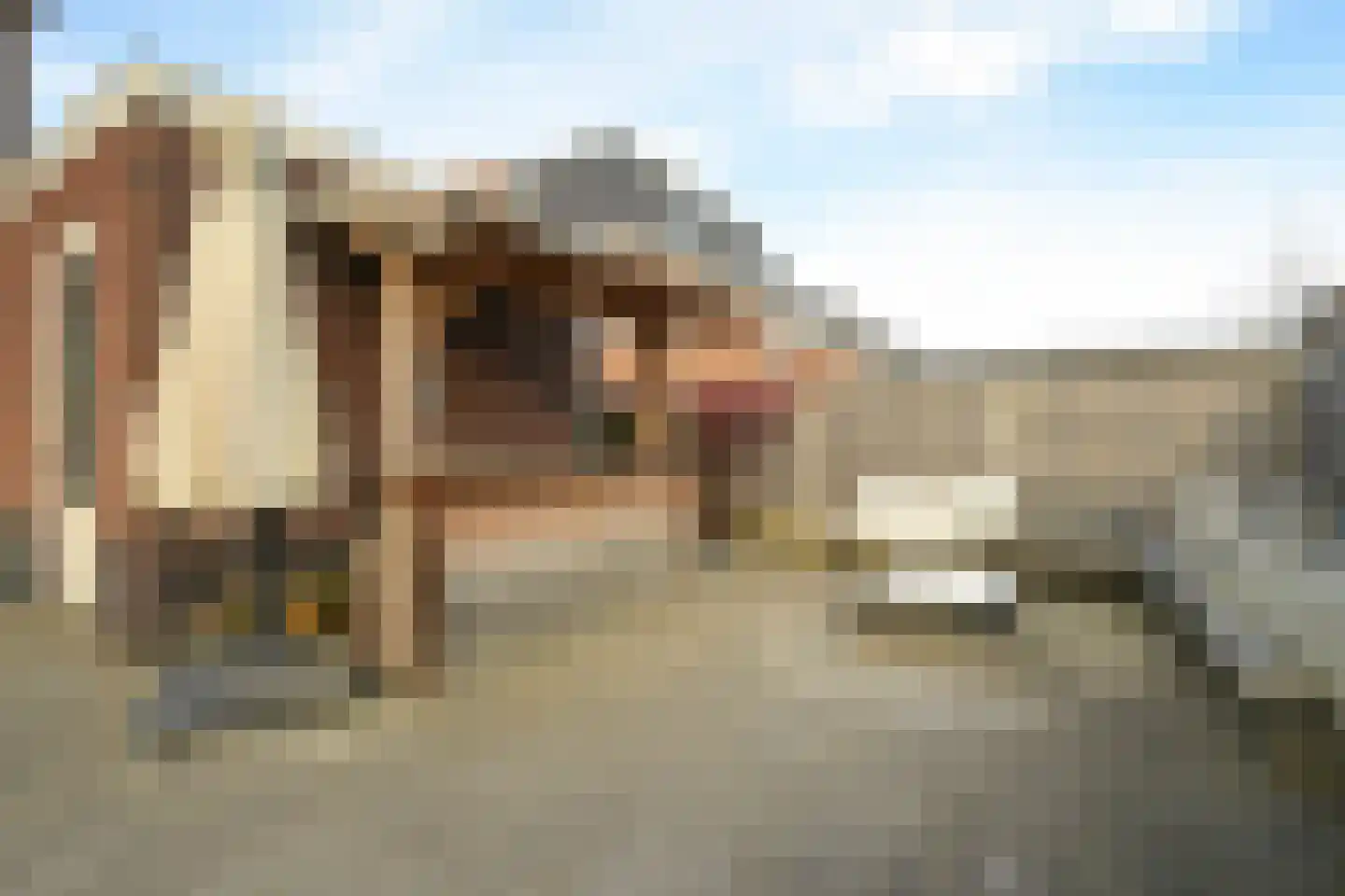 George Seferislaan 5 Den Haag thumbnail 18