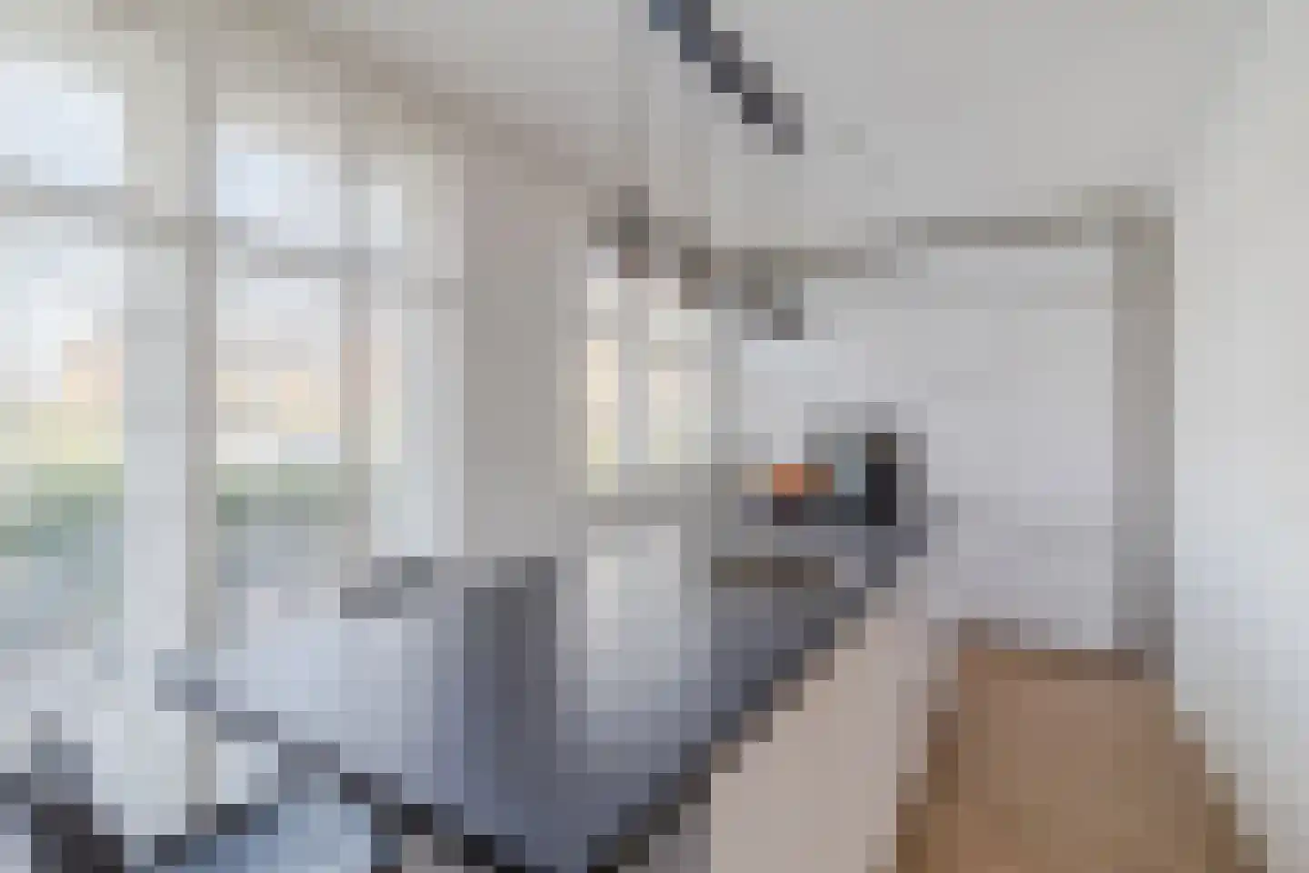 George Seferislaan 9 Den Haag thumbnail 17