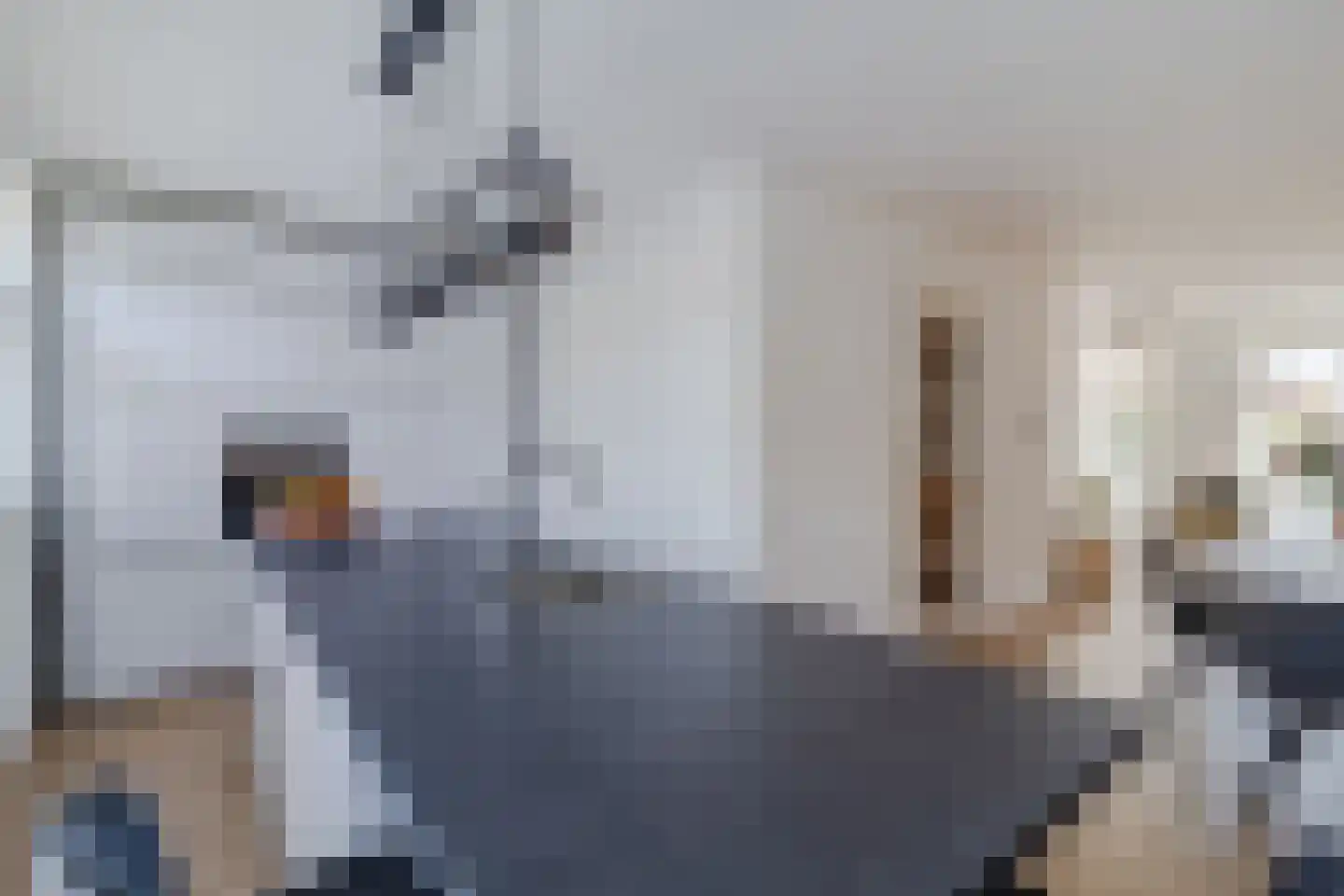 George Seferislaan 9 Den Haag thumbnail 18